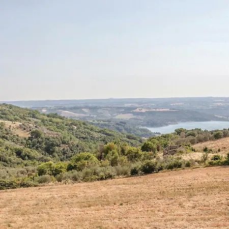 Holiday Le Crite